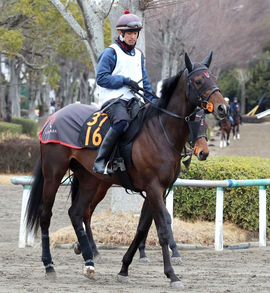 ライヒスアドラー