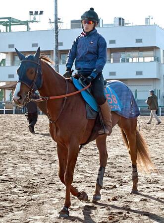 ミッキーファイト