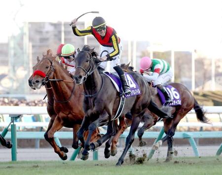 第７０回有馬記念を制したミュージアムマイル（中央）＝２５年１２月