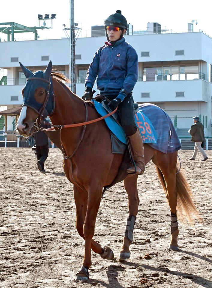 ミッキーファイト