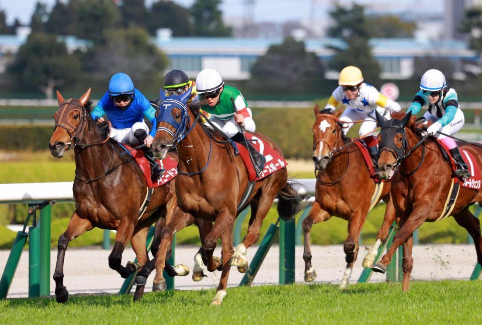 　道中後方から馬群を縫うように抜け出すギリーズボール（左から２頭目）＝撮影・石湯恒介