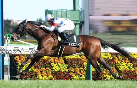 　湾岸Ｓを制した横山典騎乗のマイユニバース