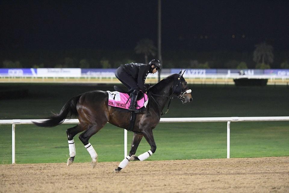 ドンインザムード