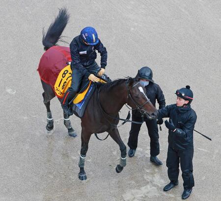 　クイーンズウォーク