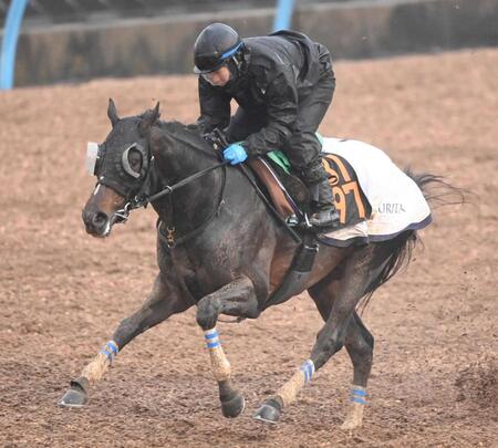 　無傷３連勝でのタイトル奪取をもくろむクレパスキュラー
