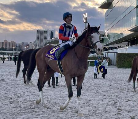 フジノウェーブ記念を制した派手顔のナンセイホワイトと安藤洋