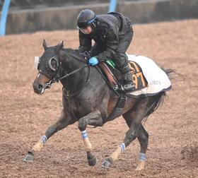 　無傷３連勝でのタイトル奪取をもくろむクレパスキュラー