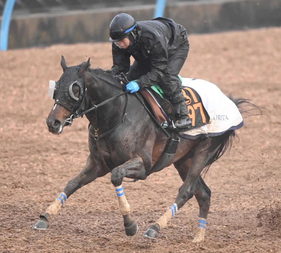 　無傷３連勝でのタイトル奪取をもくろむクレパスキュラー
