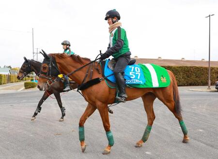 　重賞２勝目を狙うシェイクユアハート