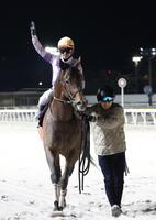 ダイオライト記念を制し、観衆に手を振る吉村