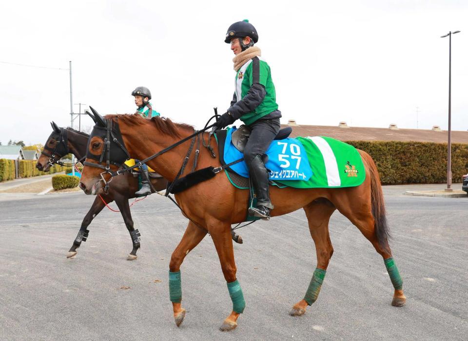 　重賞２勝目を狙うシェイクユアハート