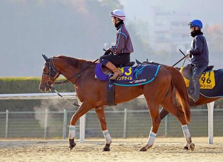 ダノンデサイル