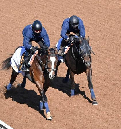 　無傷の３連勝で重賞Ｖを狙うクレパスキュラー（右）＝撮影・持木克友