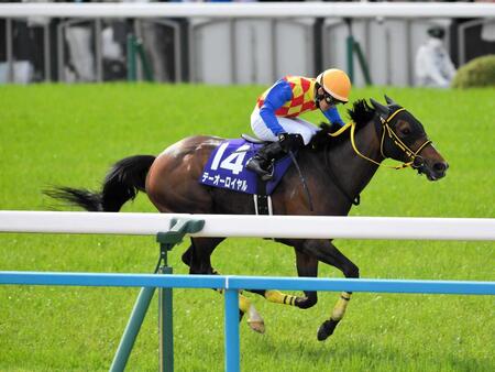天皇賞（春）を制したテーオーロイヤル=２４年４月