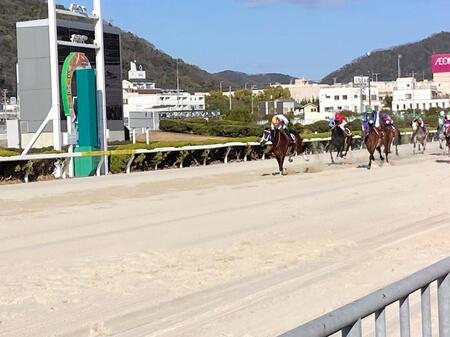 重賞初勝利を飾ったヘラルドバローズ（左）＝撮影・中山伸治