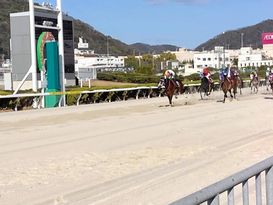 重賞初勝利を飾ったヘラルドバローズ（左）＝撮影・中山伸治