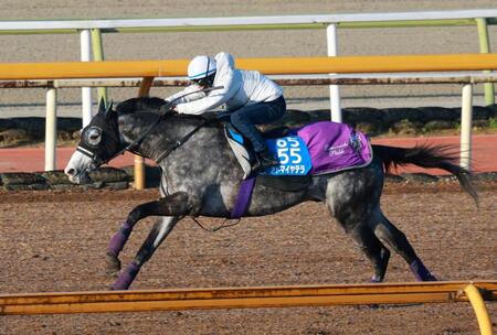 【阪神大賞典】アドマイヤテラ　１週間前追い切りで見せた抜群の瞬発力　友道師「変わりない、テラの動き。十分いい感じ」
