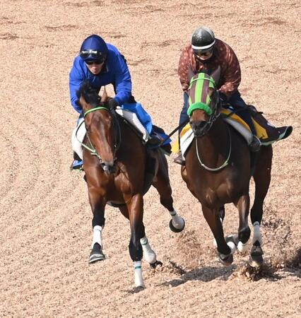 美浦Ｗで追い切られたレッドバンデ（左）＝撮影・持木克友