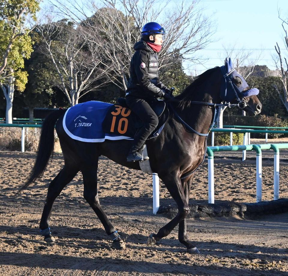 　皐月賞の権利獲得を目指すアウダーシア（撮影・持木克友）　