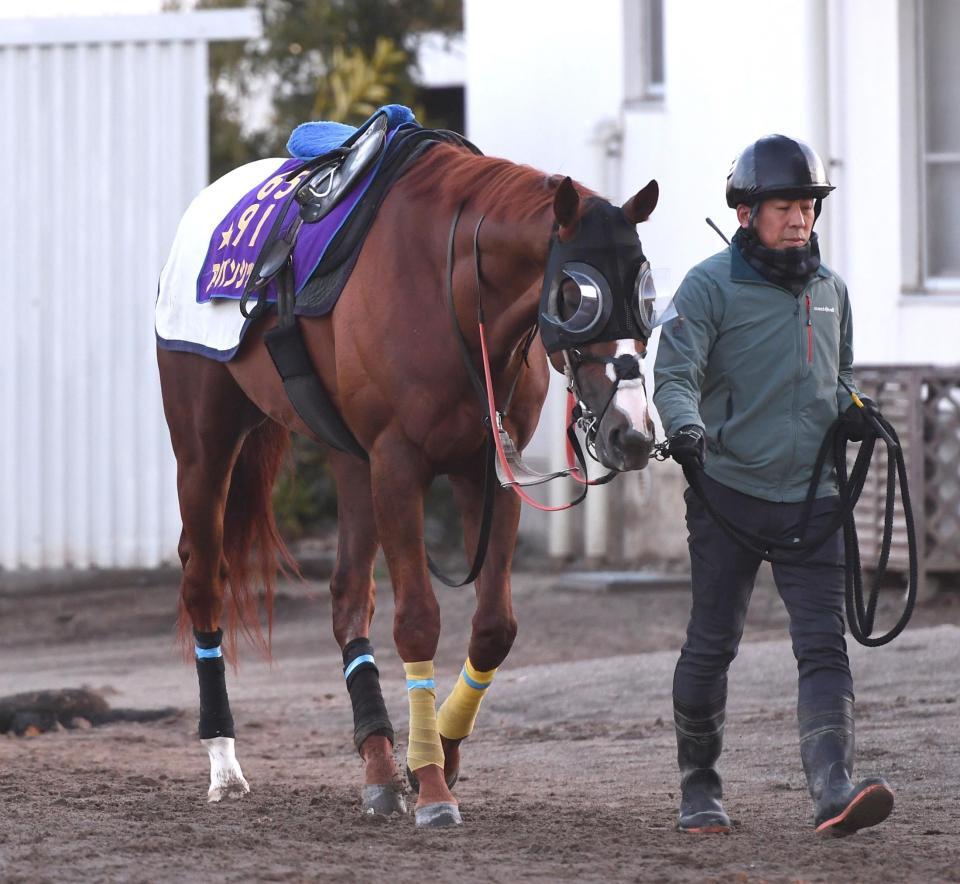 アーバンシック