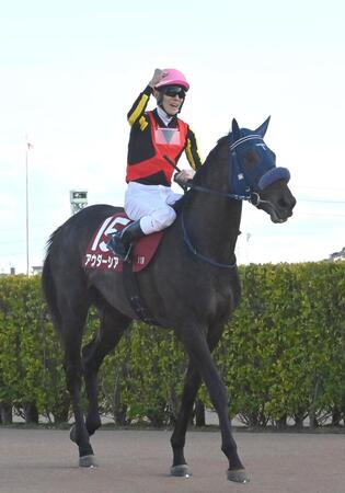 スプリングＳを制したアウダーシアと津村（撮影・持木克友）