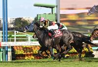 スプリングＳを制したアウダーシア（撮影・持木克友）