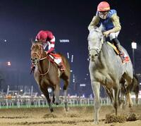 　昨年のドバイワールドＣで３着になったフォーエバーヤング。右は優勝したヒットショー＝２５年４月（共同）