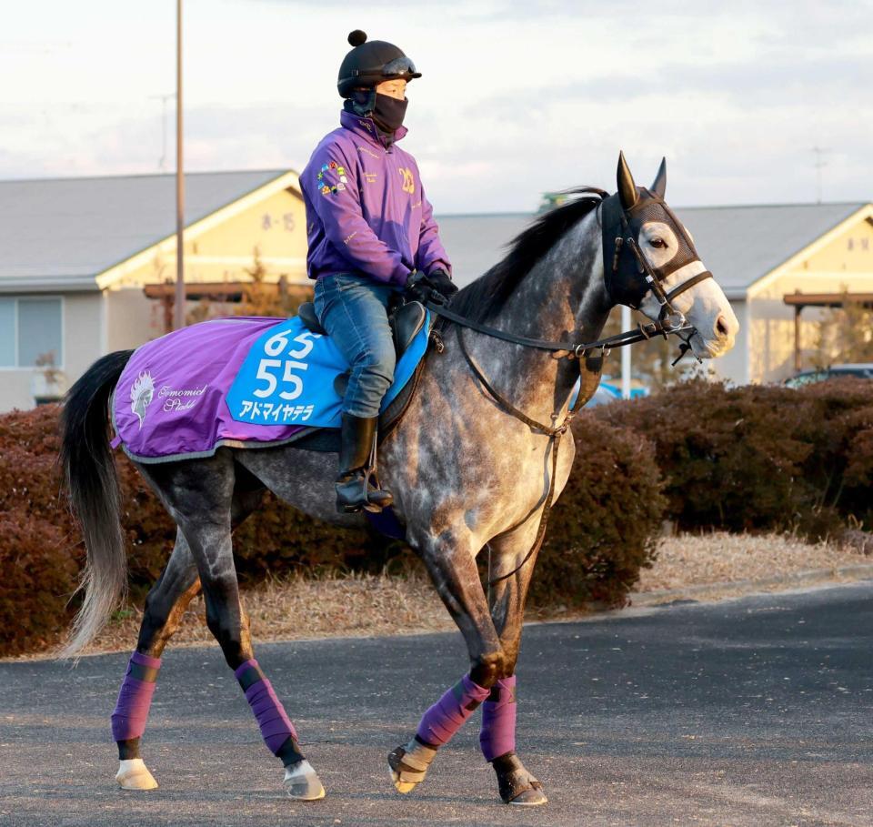 勝って盾獲りに弾みをつけたいアドマイヤテラ