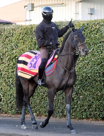 　運動するイクシード　