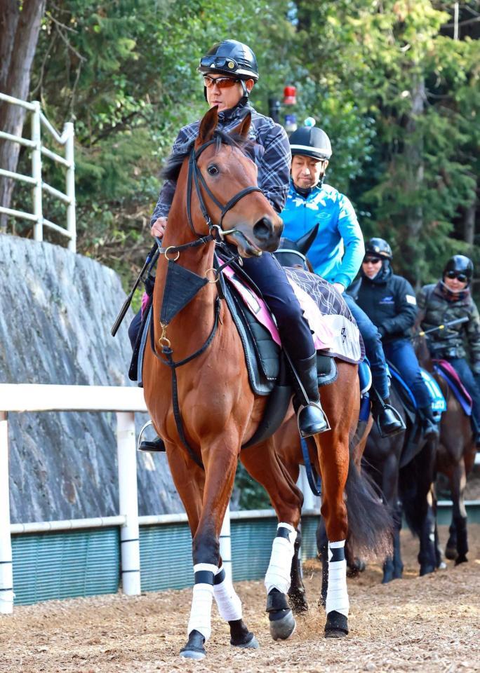 　運動するエアビーアゲイル＝栗東トレセン（撮影・石湯恒介）