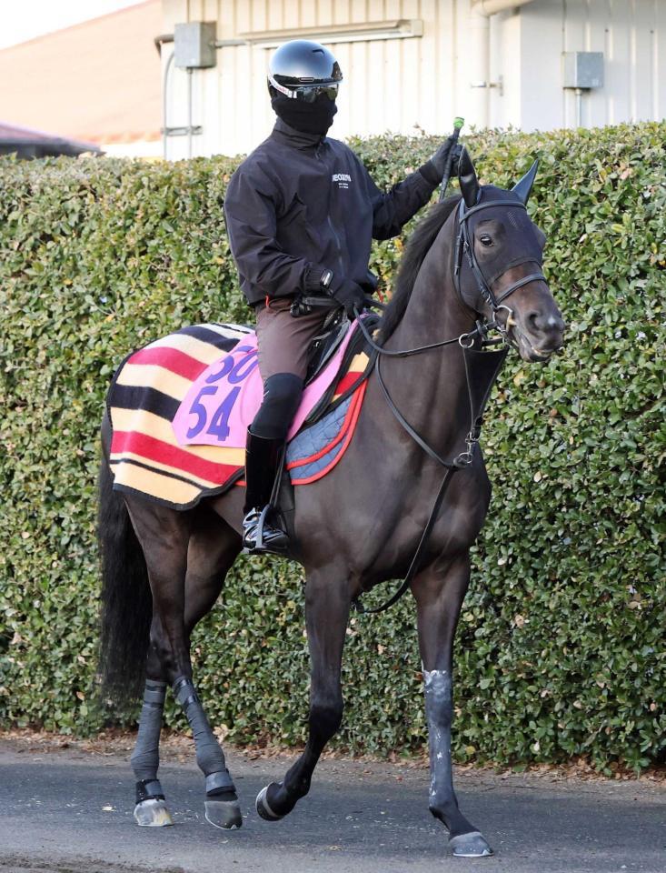 　運動するイクシード　