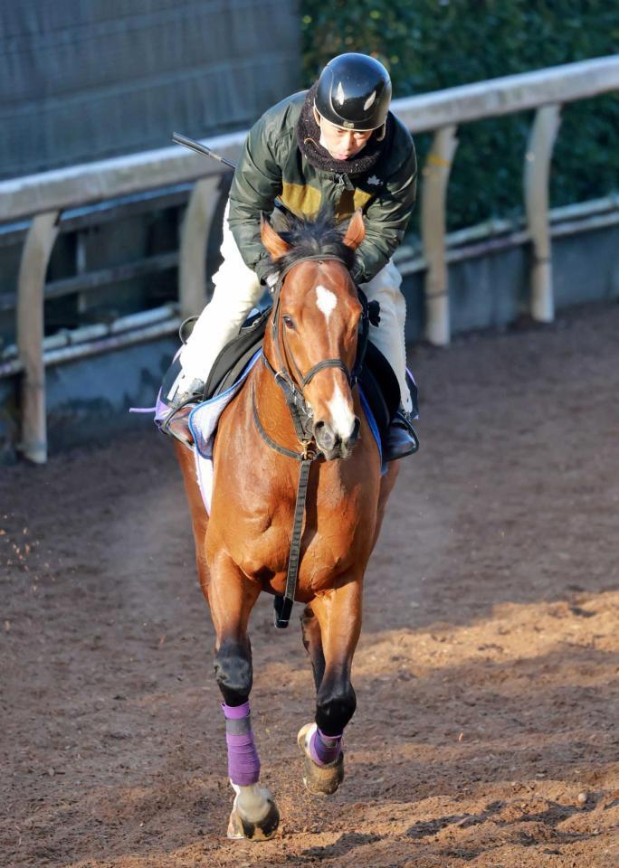 　得意の阪神で逃げ切りを狙うコロナドブリッジ