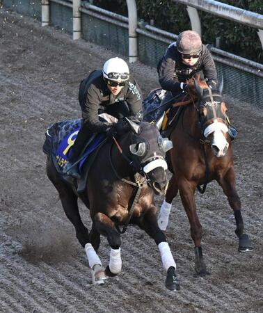 　抜群の動きを見せたナムラクレア（左）＝撮影・今井雅貴