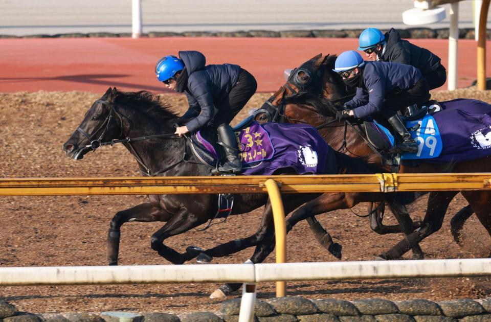 栗東ＣＷで追い切るクロワデュノール（左）＝撮影・石湯恒介