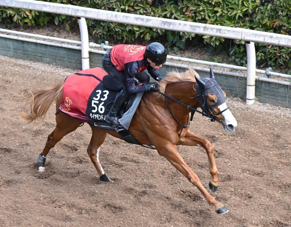 　軽快なフォームで駆け上がるダイヤモンドノット