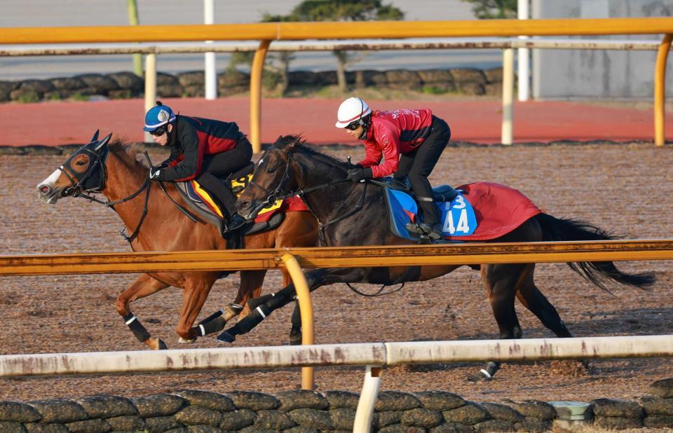　栗東ＣＷでシャープな伸び脚を披露したダノンシーマ（右）