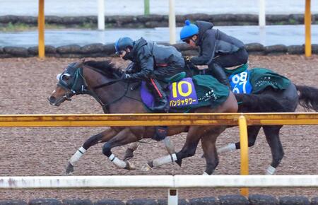 【高松宮記念】パンジャタワー　鋭伸に好感触　１週前追い切りで半馬身先着　松山「馬場が悪い中、よく動けていた」