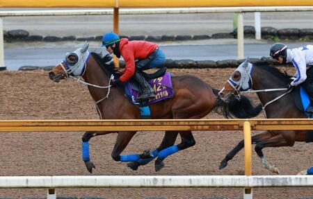 【大阪杯】メイショウタバル　折り合い大丈夫！太宰「さすがＧ１馬」　石橋師も納得「体や馬の造りも問題なくきている」