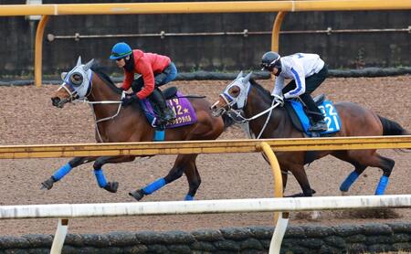 栗東ＣＷで追い切るメイショウタバル（左）＝撮影・石湯恒介