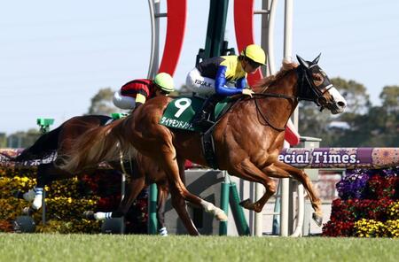 ファルコンＳを制した川田騎乗のダイヤモンドノット（手前）