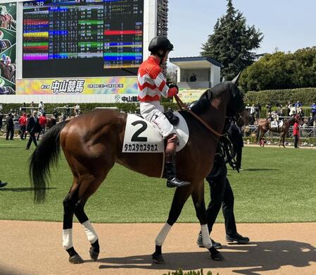 中山３Ｒに出走した高須クリニックの高須克弥院長の愛馬・タカスタカスタカス