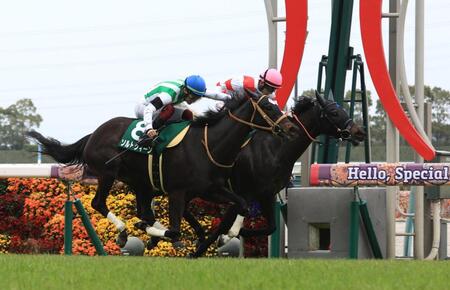 愛知杯を制したアイサンサン（奥）。手前は２着のソルトクィーン