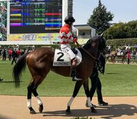 中山３Ｒに出走した高須クリニックの高須克弥院長の愛馬・タカスタカスタカス