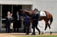 中山３Ｒに出走する所有馬・タカスタカスタカスを笑顔で写真に収める高須クリニックの高須克弥院長（前列左）とそのパートナーの西原理恵子さん（前列中央）＝