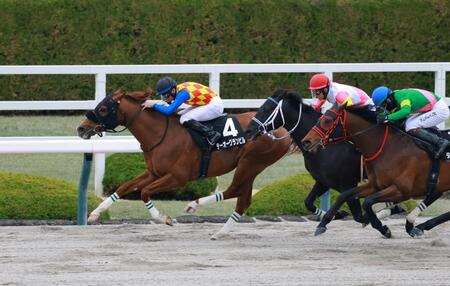 レグルスＳを制したテーオーグランビル（撮影・石湯恒介）