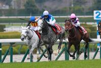 貫禄のレースぶりを見せつけるアドマイヤテラ（中央）　