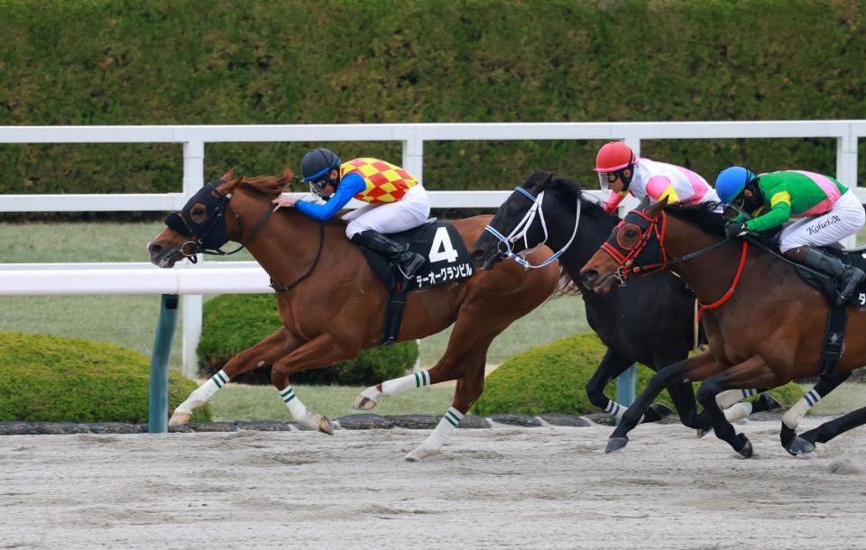 レグルスＳを制したテーオーグランビル（撮影・石湯恒介）