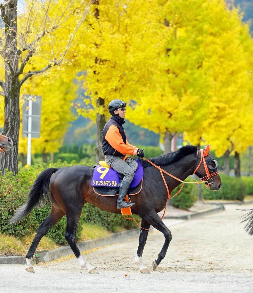 ジャンタルマンタル