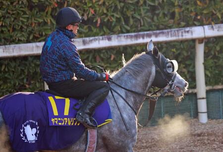 　データ班が推奨するヤマニンアルリフラ