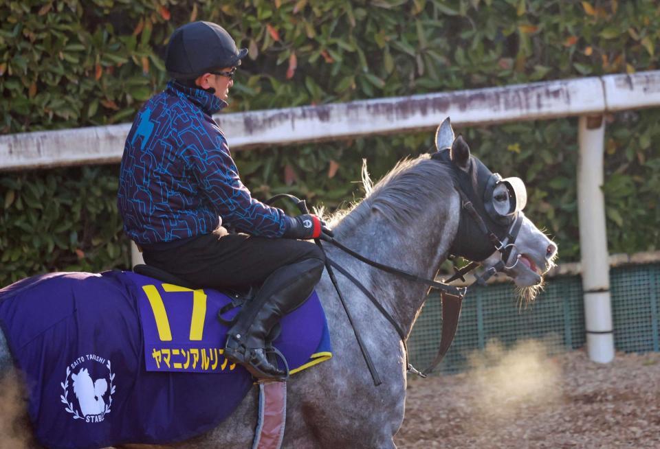 　データ班が推奨するヤマニンアルリフラ